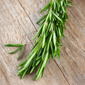 Rosemary